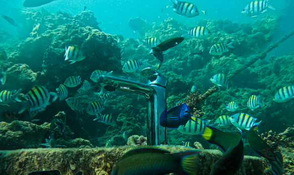 شیرآلات البرزروز